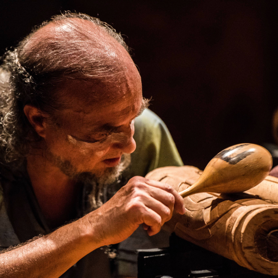 Lluvia de palos José Navarro Noriega